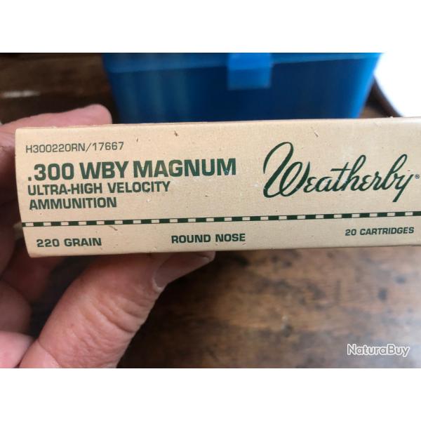 300 wby