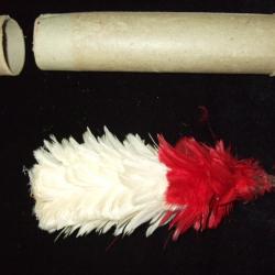 Plumet de Musicien pour Shako de la Garde Républicaine .