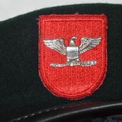 BERET VERT AMERICAIN DES FORCES SPECIALES-VIETNAM-AMERICAN GREEN BERET-DENMARKS-EAGLE BADGE