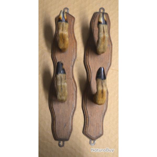 Beau rtelier chnes patte de chevreuil 2 armes