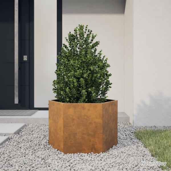 Jardinire hexagone 69x60x45 cm acier patinable