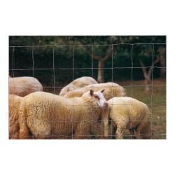 Soldes ! Clôture mouton haut  0,95  long 50  m