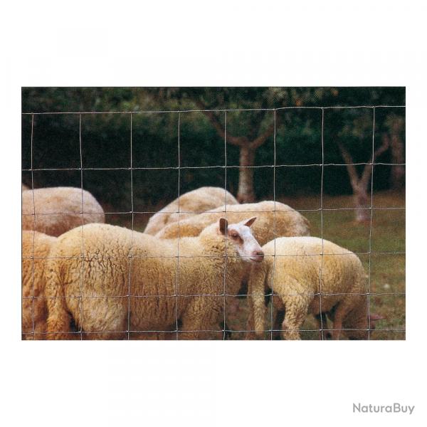 Soldes ! Clture mouton haut  0,95  long 50  m