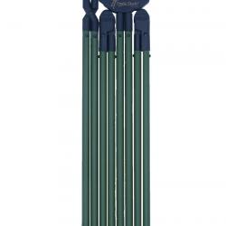 CANNE BUSH ESSENTIAL VERTE