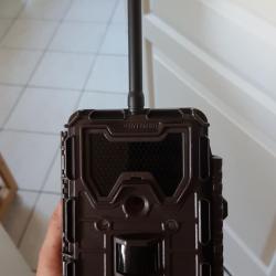 Bushnell trophy cam HD