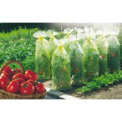 Soldes ! Housse croissance avec liens tomates gaine de forçage polyéthylène jaune traité anti-U.V