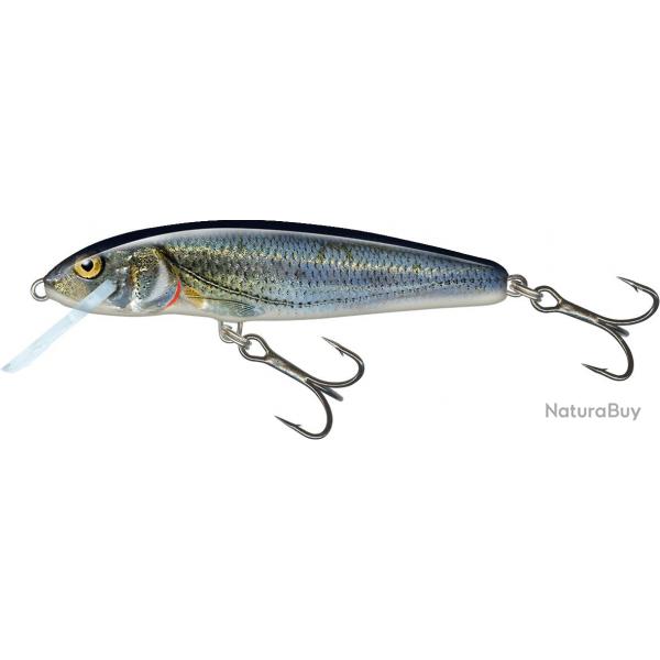 Poisson Nageur Salmo Minnow Flottant 5cm 3g Spirlin 5cm