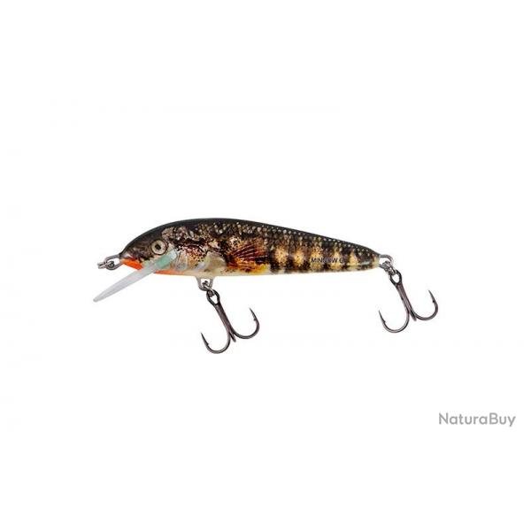 Poisson Nageur Salmo Minnow Flottant 5cm 3g Holo Stickleback 5cm