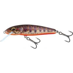 Poisson Nageur Salmo Minnow Flottant 5cm 3g 5cm Freshwater Minnow