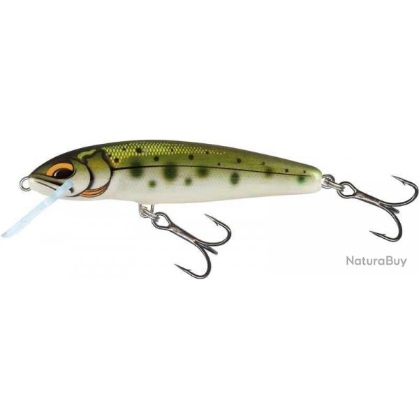 Poisson Nageur Salmo Minnow Flottant 5cm 3g 5cm Yamame Ayu