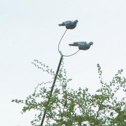 Soldes ! Rallonge supplémentaire pour Mât à pigeons