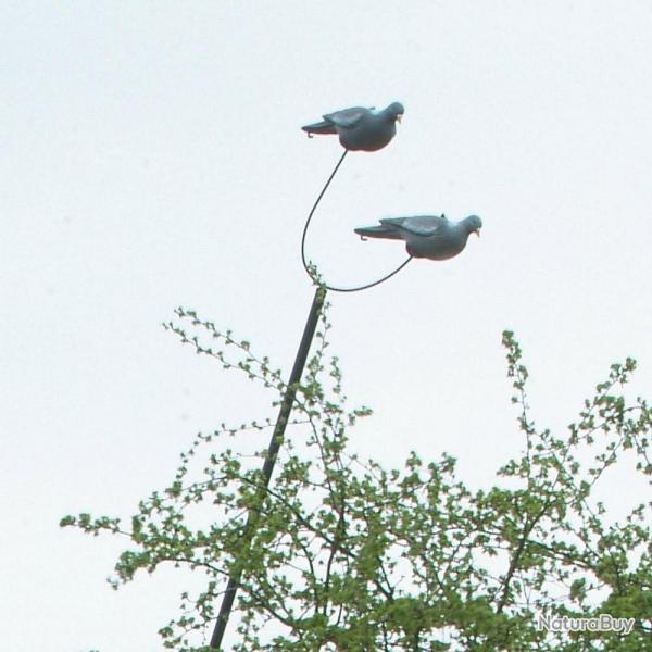 Soldes ! Rallonge supplmentaire pour Mt  pigeons