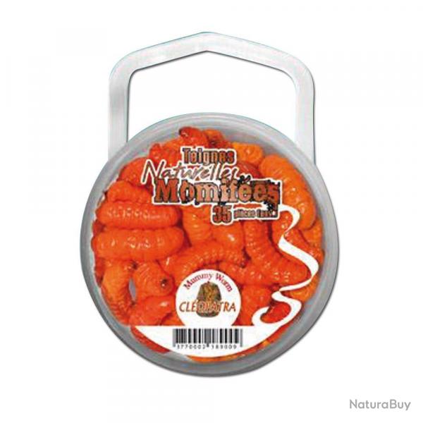 Soldes ! Teignes Momifies Oranges