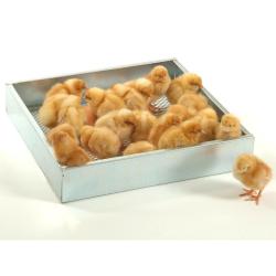 Soldes ! Panier d'éclosion pour couveuses Ducat 140 AV et 175 AV