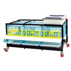 Soldes ! Cage pour cailles pondeuses - CIMUKA