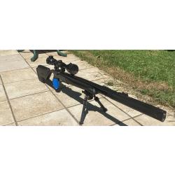 Carabine STOEGER Xm1 S4- chargeurs -lunette-pied- compresseur