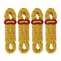 Cordes de Guyline pour tente extérieure, 5mm, 4M, lignes réfléchissantes pour Camping, avec tendeur 