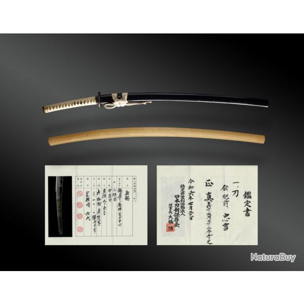 Sabre Japonais, katana en shirasaya, koshirae, certificat NTHK. Japon, fin EDO (re Kansei)