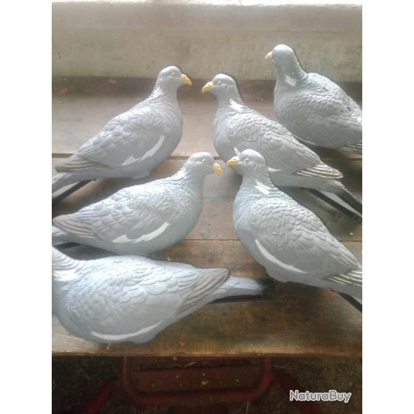 Lot formes pigeons x6.....full body