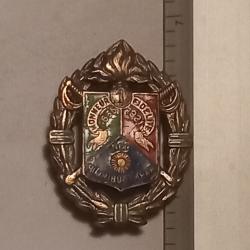 Insigne du 1er régiment étranger de cavalerie (1er REC)