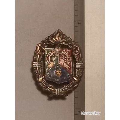 Insigne du 1er régiment étranger de cavalerie (1er REC) - Insignes ...