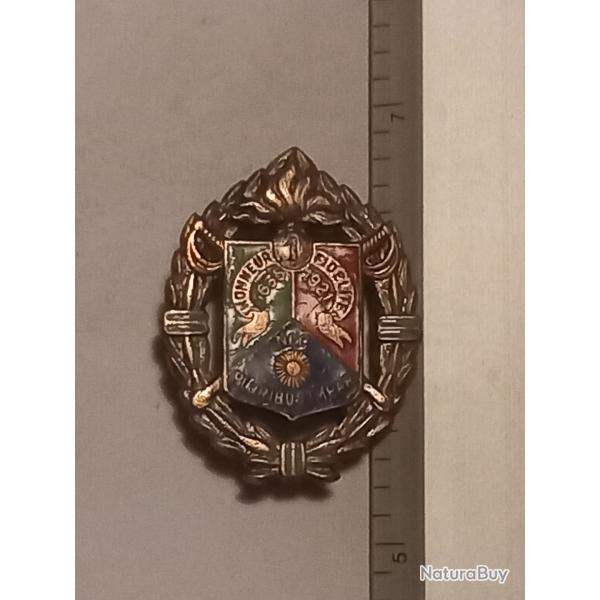 Insigne du 1er rgiment tranger de cavalerie (1er REC)