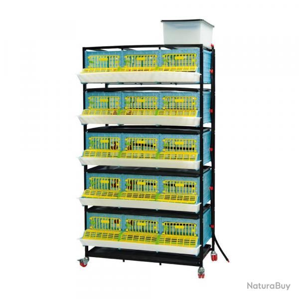 Soldes ! Cage engraissement cailles 5 tages