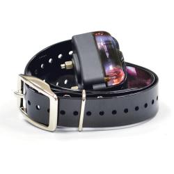 Soldes ! Collier Supplémentaire pour DT2000 (Taille ORANGE)