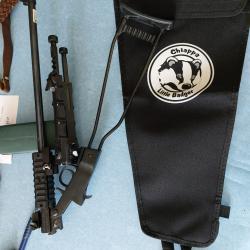 carabine 22lr chiappa