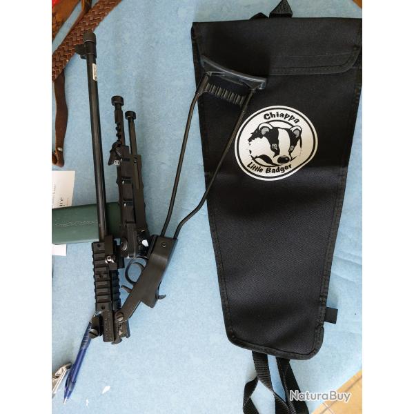 carabine 22lr chiappa