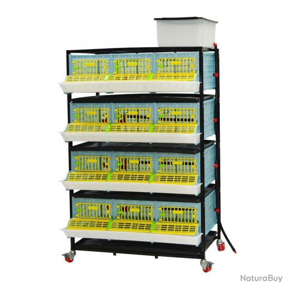 Soldes ! Cage engraissement cailles/perdrix 4 tages