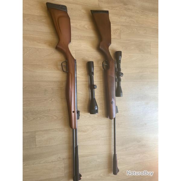 Lot de carabine  plombs + 2 jumelle