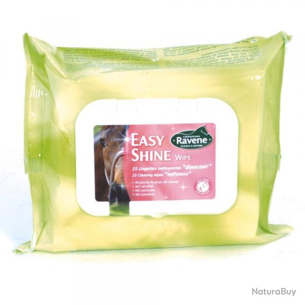 Soldes ! Easy shine whipe