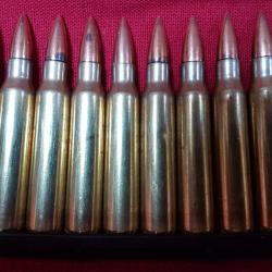 10 MUNITIONS 5.56X45 neutralisées sur CLIP