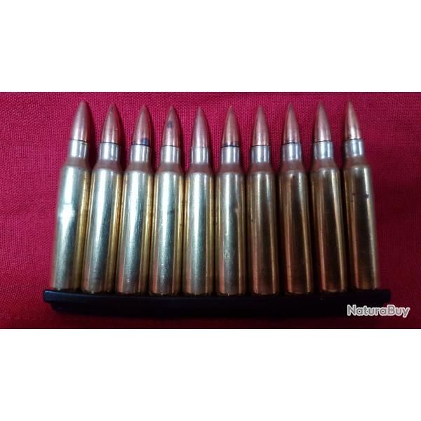10 MUNITIONS 5.56X45 neutralises sur CLIP