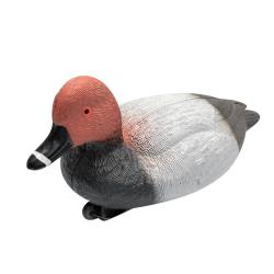 Soldes ! Blette de Milouin Mâle