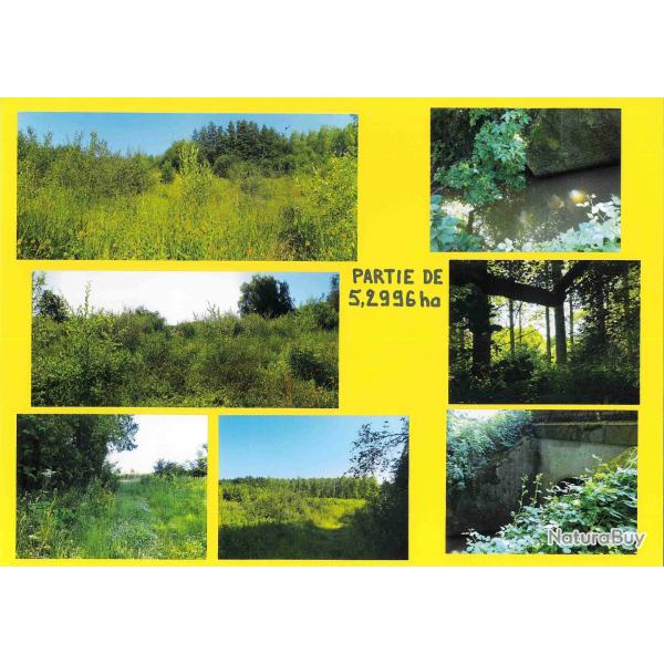 15,7851 ha - FORT DE MORAINVILLE - ( 14 ) CALVADOS