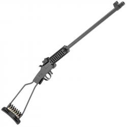 CARABINE CHIAPPA LITTLE BADGER 17HMR