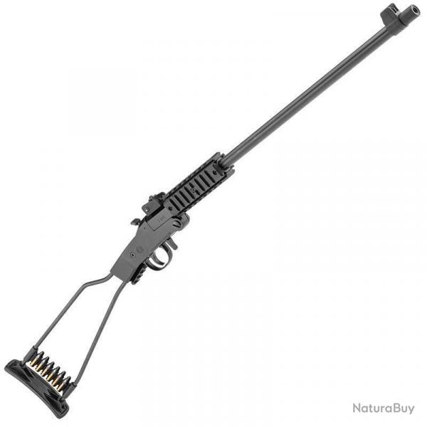 CARABINE CHIAPPA LITTLE BADGER 17HMR