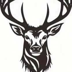 Journée de chasse aux Cervidés et sangliers