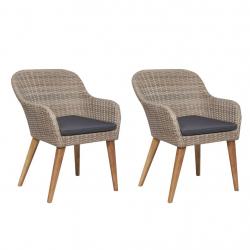 Chaises d'extérieur et coussins lot de 2 Résine tressée Marron