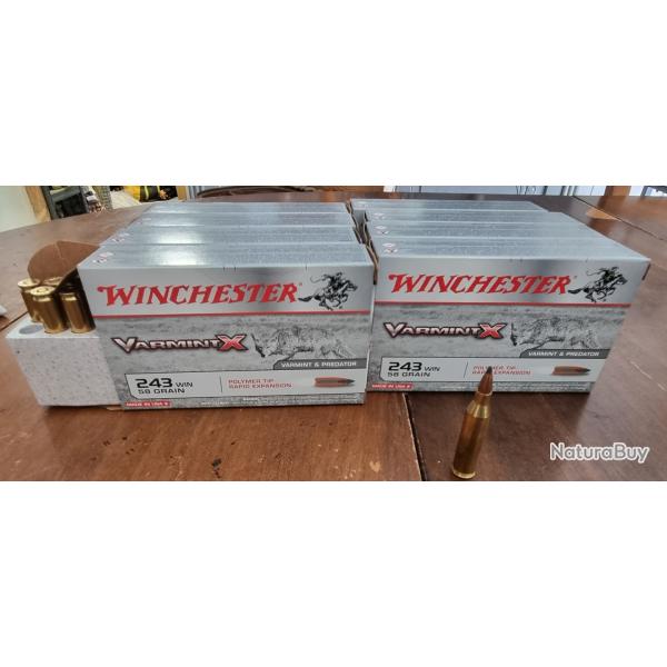 Lot 8 boites Munitions 243 winchester Varmint-X