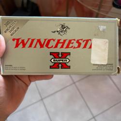 Winchester power point 300wsm