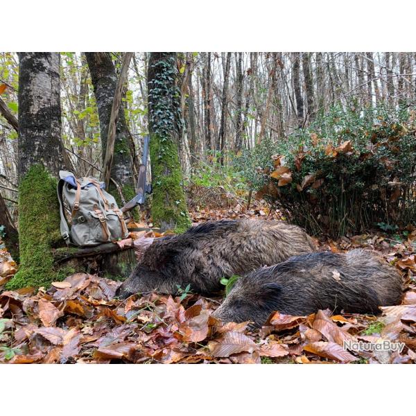 ACTION DE CHASSE EN SOLOGNE