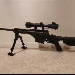 carabine savage