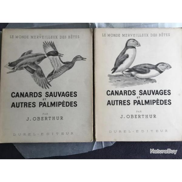 CANARDS SAUVAGES ET AUTRES PALMIPDES - 2 VOLUMES - J.OBERTHUR - 1948 - CHASSE