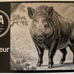 Carte mémo Permis de chasse / SIA