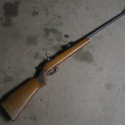 Carabine manuarm cal 22 Lr Ref 39/2025