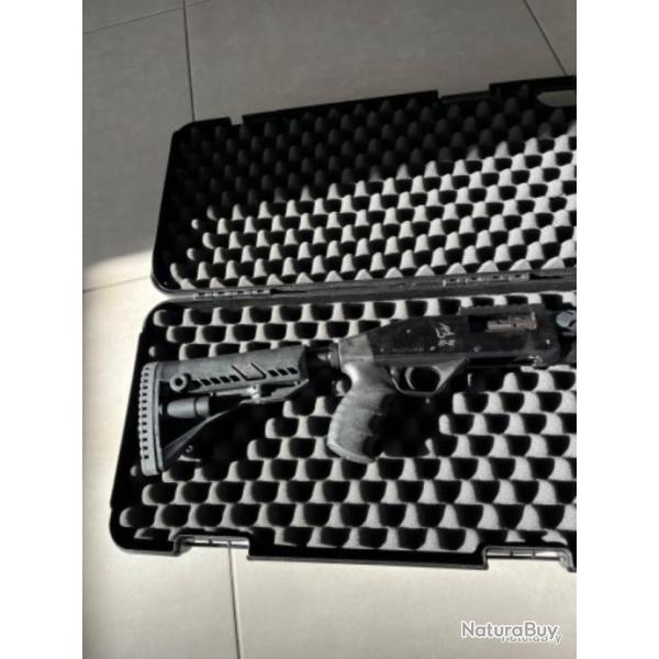 Taurus st12 tactical catgorie C