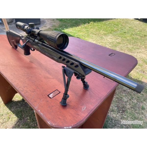 RUGER AMERICAN RIMFIRE TARGET avec lunette et bipied
